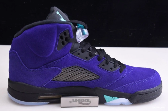 HYPE 5 136027-500 Alternate Grape Jordan Air Retro 0811